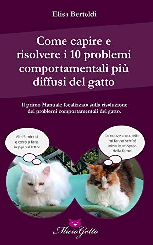 Come capire e risolvere i 10 problemi comportamentali più comuni del gatto