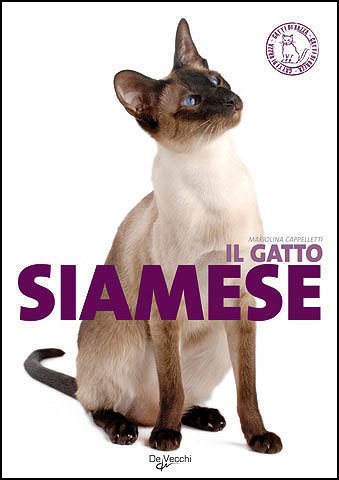 Il gatto siamese. Ediz. illustrata