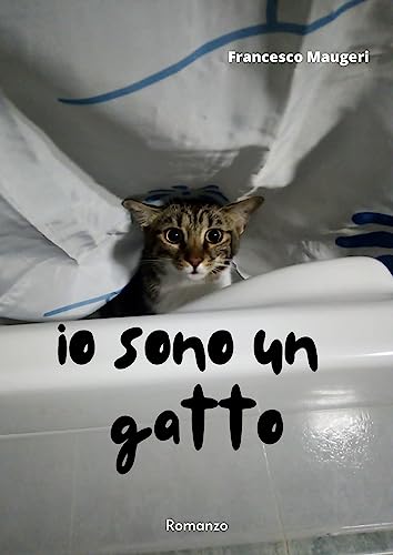 Io sono un gatto