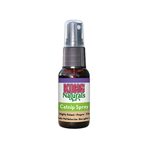KONG - Naturals Catnip Spray per Gatti - 30 ml (1 oncia fluida)