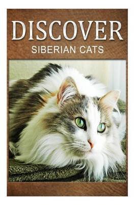 [(Siberian Cats - Discover : Early Reader's Wildlife Photography Book)] [By (author) Discover...