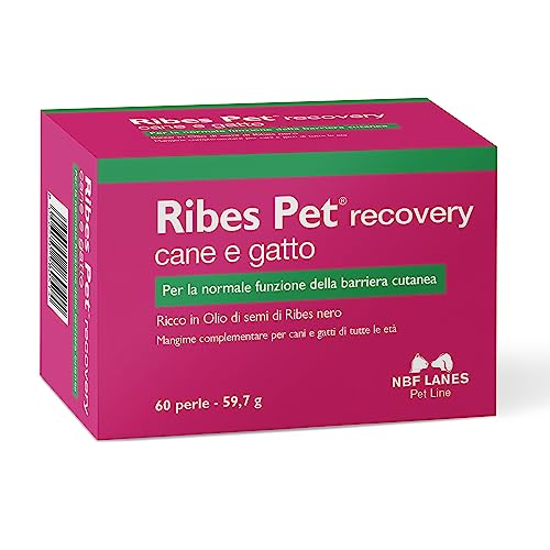 NBF Lanes | Ribes Pet Recovery Cane e Gatto, 60 Perle Appetibili, per la Normale Funzione della...