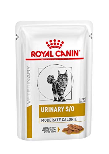 ROYAL CANIN Urinary Umido Gatto Moderate alimento Gatto Umido diete Sacchetto