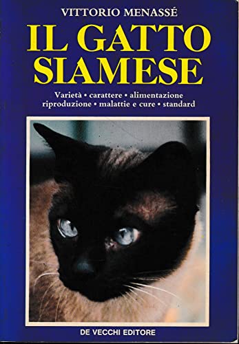 Il gatto siamese