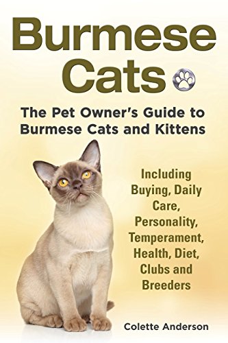 Burmese Cats, The Pet Owner's Guide to Burmese Cats and Kittens Including Buying, Daily Care,...