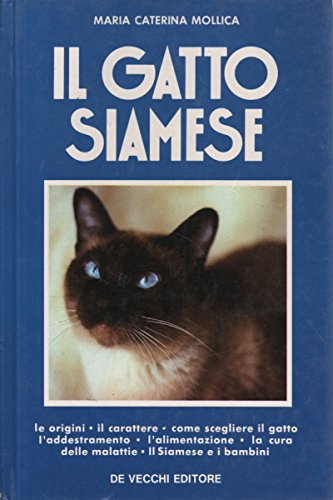 Il gatto siamese