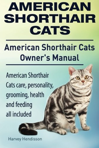 American Shorthair Cats. American Shorthair care, personality, health, grooming and feeding all...