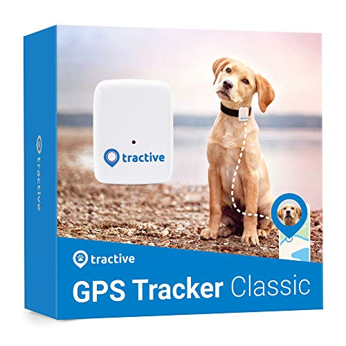 Tractive Localizzatore GPS per animali domestici, Bianco, Taglia Unica