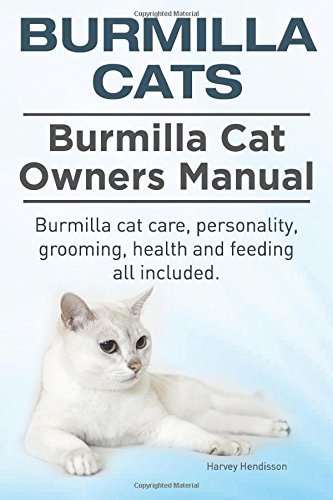 Burmilla Cats. Burmilla Cat Owners Manual. Burmilla cat care, personality, grooming, health and...