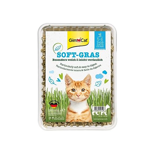 GimCat Soft-Gras, Erba per gatti tenera e ricca di vitamine con coltivazione rapida in soli 5-8...