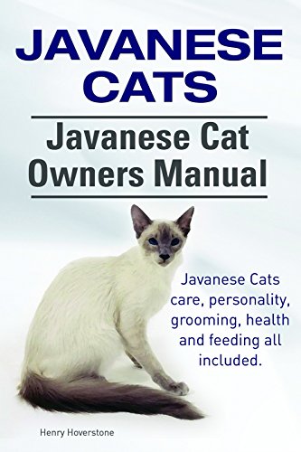 Javanese Cats. Javanese Cats care, personality, grooming, health and feeding all included....