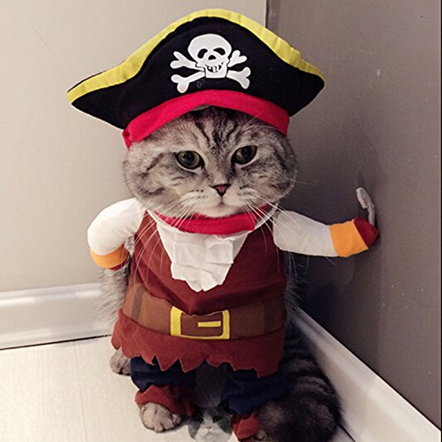 Idepet Costume de chat Pirate des Caraïbes drôle chien vêtements pour animaux de compagnie...