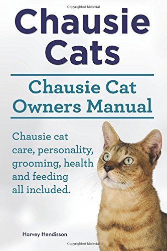 Chausie Cats. Chausie Cat Owners Manual. Chausie cat care, personality, grooming, health and...