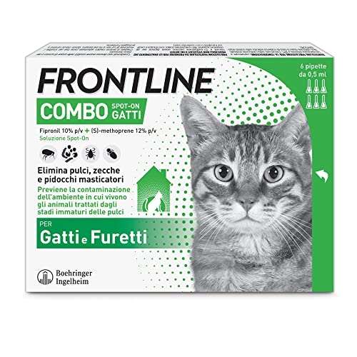 FRONTLINE Combo, 6 Pipette, Antiparassitario per Gatti, Gattini e Furetti di Lunga Durata,...