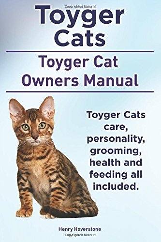 Toyger Cats. Toyger Cat Owners Manual. Toyger Cats care, personality, grooming, health and...