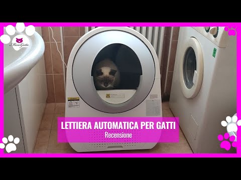 Lettiera automatica per gatti autopulente: la recensione