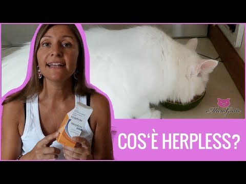 Cos&#039;è Herpless e la Lisina come integratore per il gatto? 😻
