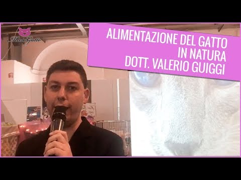 Alimentazione del gatto in natura: seminario di Valerio Guiggi a Follow Your Pet Firenze 2018