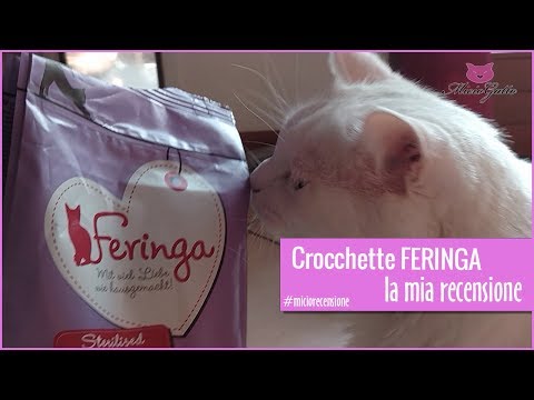 Crocchette per gatti Feringa, la mia RECENSIONE! 🕵‍♂