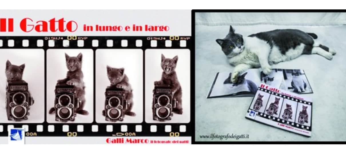 Libro fotografico Il gatto in lungo e in largo di Marco Galli