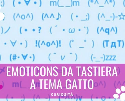 emoticon da tastiera a tema gatto