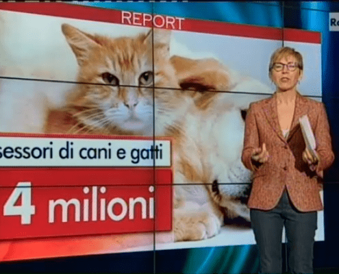 report alimentazione gatto