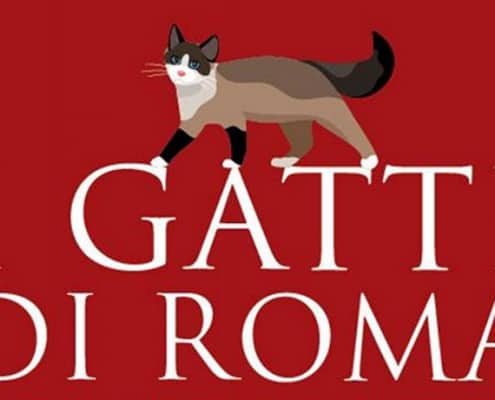 i gatti di roma libro