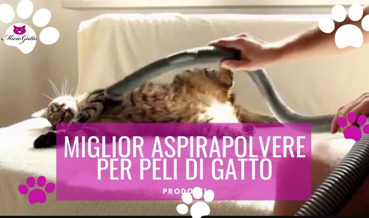 https://www.miciogatto.it/new/wp-content/uploads/2016/06/Miglior-aspirapolvere-peli-di-gatto.jpg