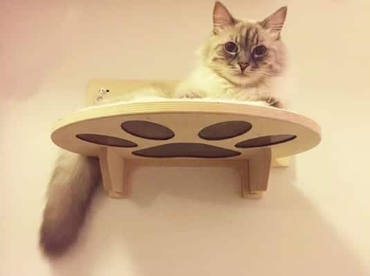 Mensola per gatti ad angolo in legno Made in Italy - AthletiCat