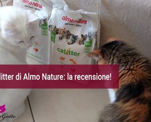 Cat litter Almo nature recensione-lettiera
