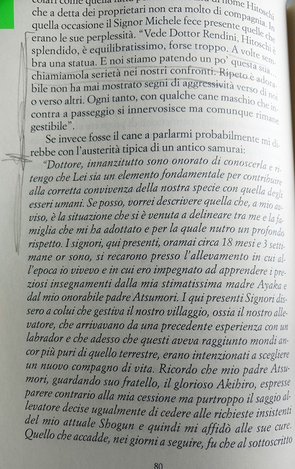 Lettura del libro di Diego Rendini