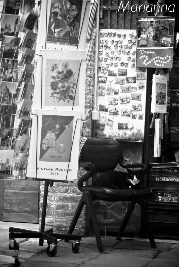 L'entrata della libreria Acqua Alta di Venezia, con il gatto - Foto di Marianna Zampieri