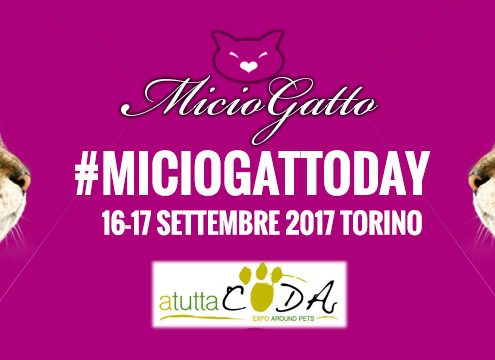 MicioGatto Day