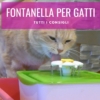 fontanella per gatti con sensore a batteria in acciaio in ceramica consigli recensioni