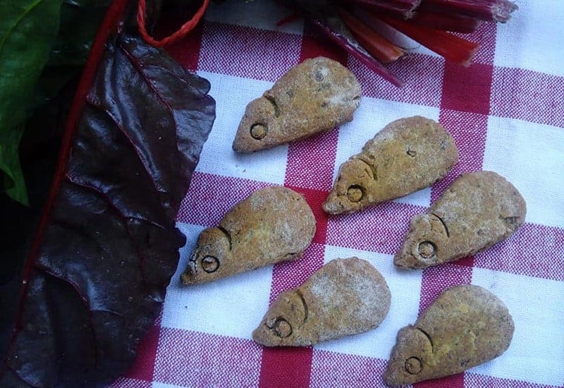 biscotti per gatti fai da te