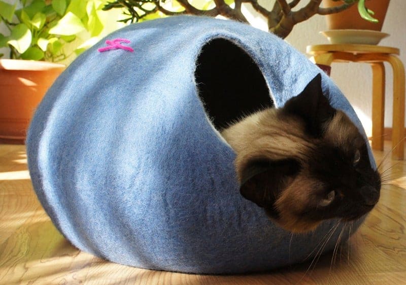 cat cave gatto etsy