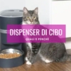 miglior dispenser cibo gatti