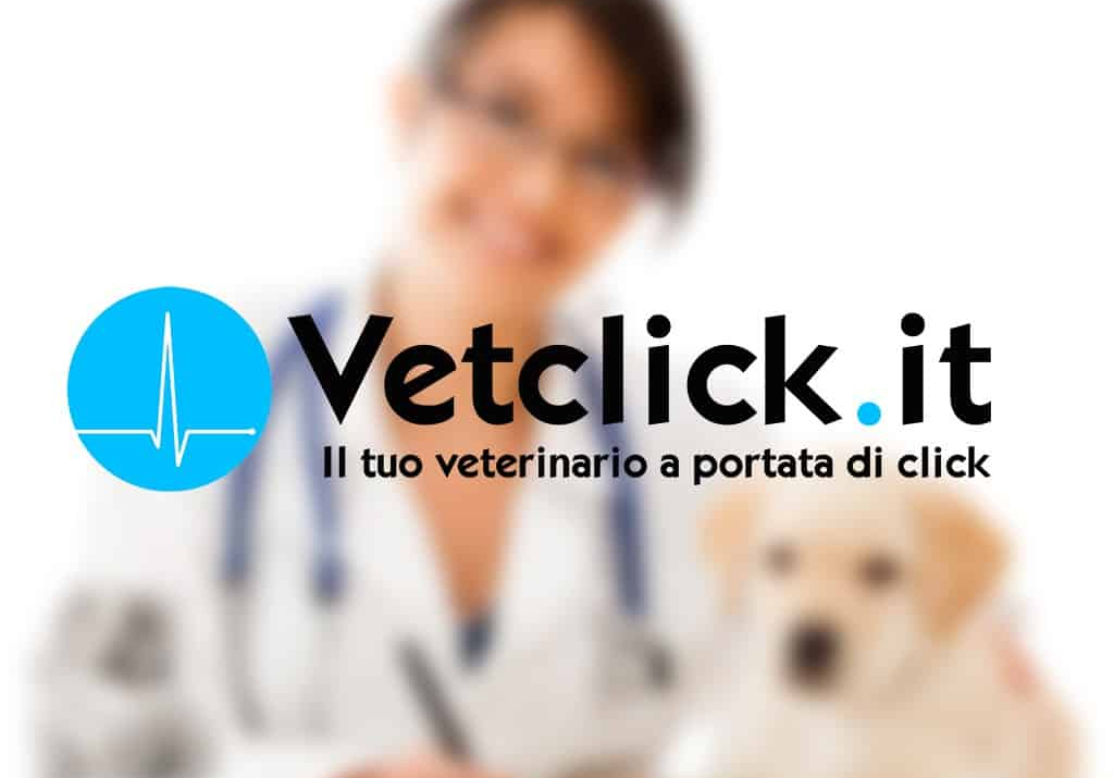 Vetclick