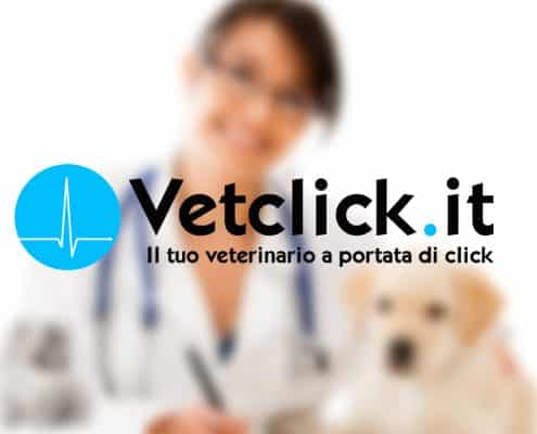 Vetclick