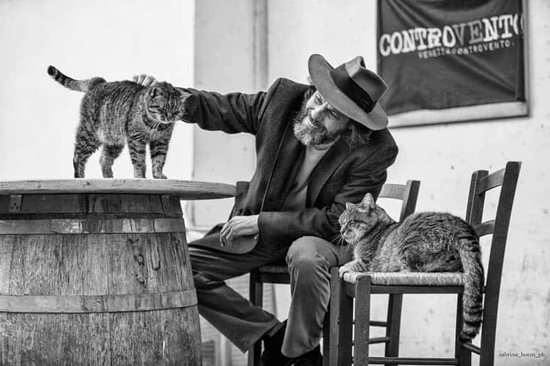 gattari di uomini e gatti sabrina boem