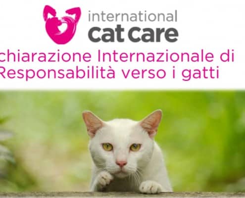 dichiarazione internazionale di responsabilita verso i gatti