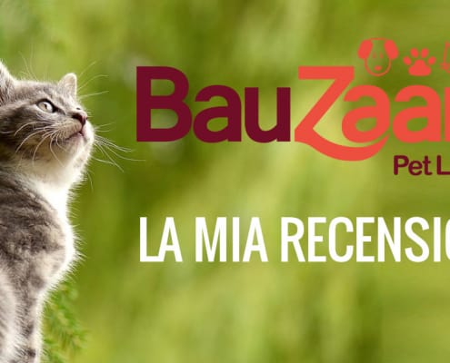 Pet Shop online vi presento Bauzaar
