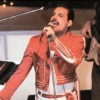 quanti gatti aveva Freddy mercury