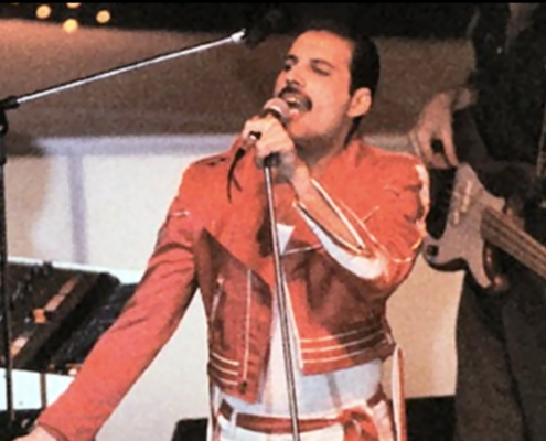 quanti gatti aveva Freddy mercury