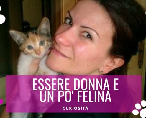 Costanza De Palma donna gatta donna felina