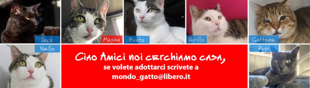 Mondo Gatto Milano