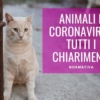 animali coronavirus enpa leggi normative vademecum