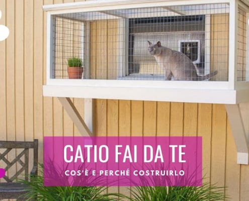 catio per gatti fai da te