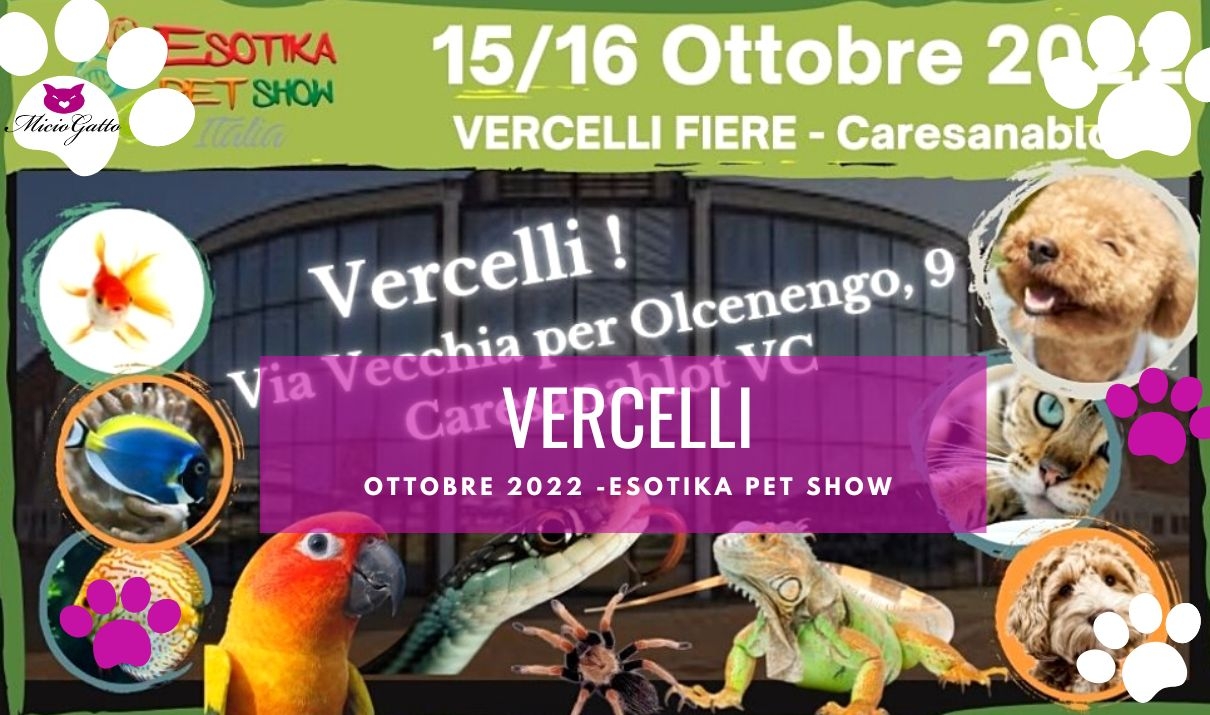 fiera animali vercelli esotika pet show 2022