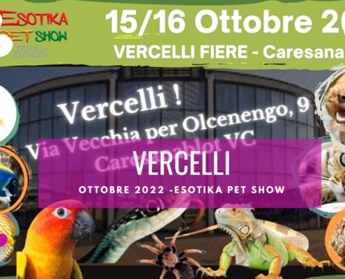 fiera animali vercelli esotika pet show 2022